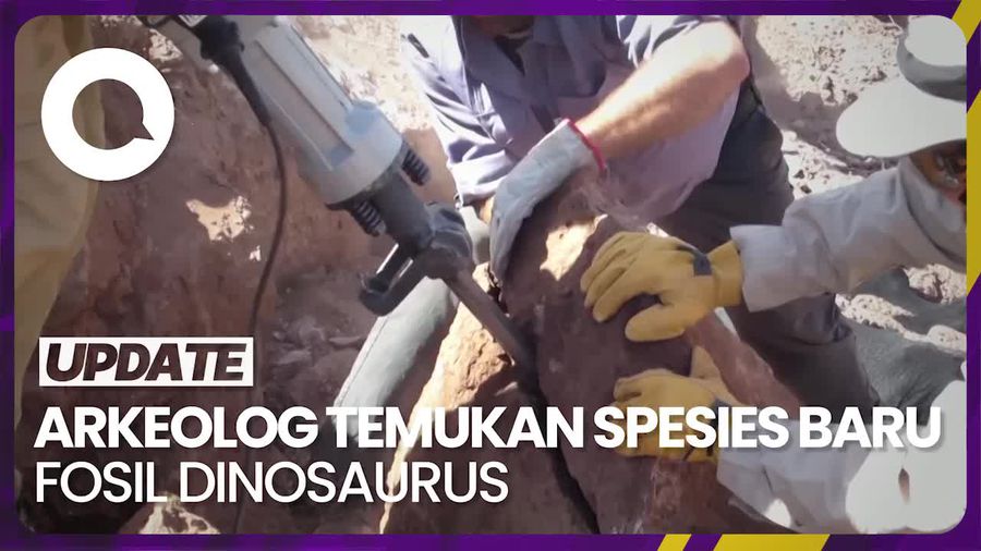 Penampakan Fosil Dinosaurus yang Punah 90 Juta Tahun Lalu