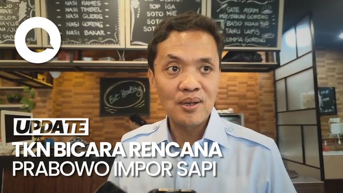 Prabowo Mau Impor 1,5 Juta Ekor Sapi, TKN: Akan Beranak Pinak