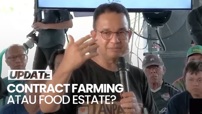 Alasan Anies Lebih Pilih Dorong Contract Farming Ketimbang Food Estate