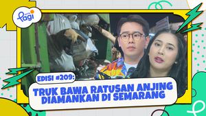 Truk Bawa Ratusan Anjing Diamankan di Semarang