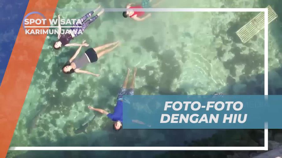 Berfoto Cantik Bersama Hiu Sang Predator Karimun Jawa