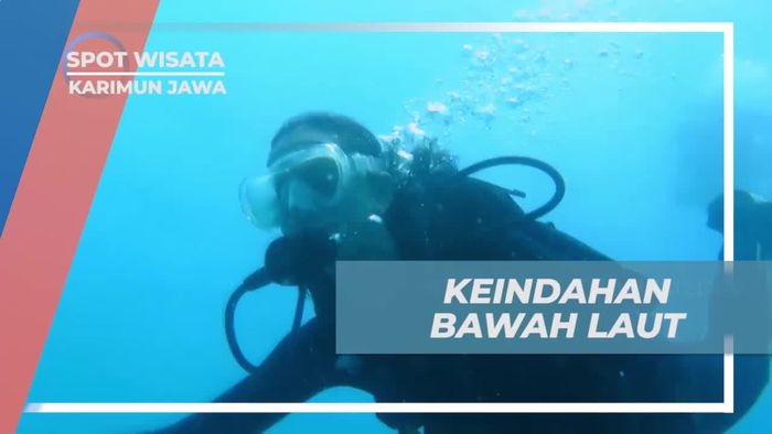 Diving Menyusuri Keindahan Bawah Laut Menjangan Besar Karimun Jawa
