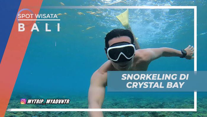 Snorkeling Menyusuri Keindahan Bawah Laut Crystal Bay Bali