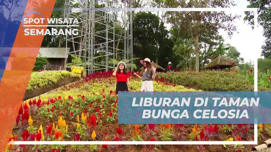 Liburan Seru di Taman Bunga Celosia Semarang