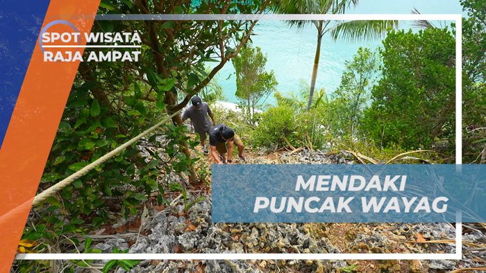 Mendaki Tebing Batu Kars, Berburu Pesona Keindahan Kepulauan Wayag, Raja Ampat