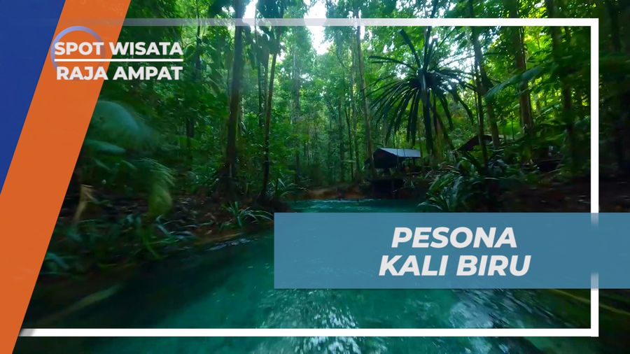Mengukir Wisata Alam yang Memukau di Bumi Cendrawasih, Raja Ampat