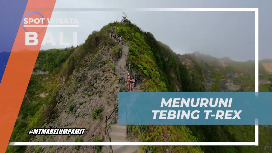 Menuruni Tebing T-rex Pantai Kelingking yang Cukup Curam, Bali