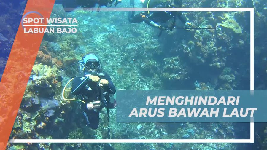 Menghindari Arus Deras Bawah Laut Saat Diving di Batu Bolong Labuan Bajo