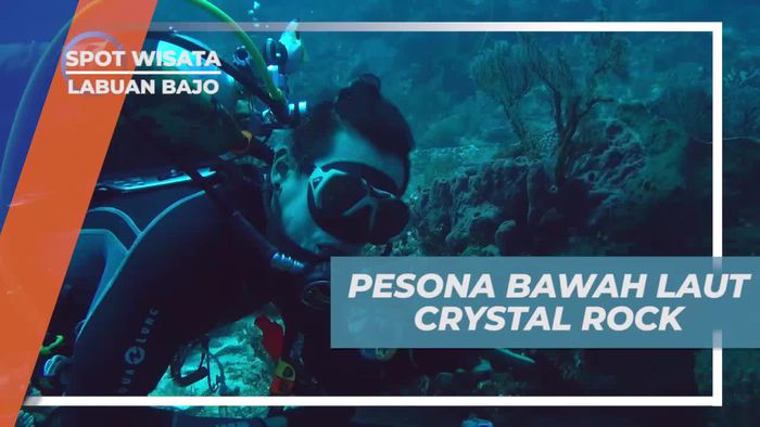 Diving Menyusuri Keindahan Bawah Laut Crystal Rock Labuan Bajo 