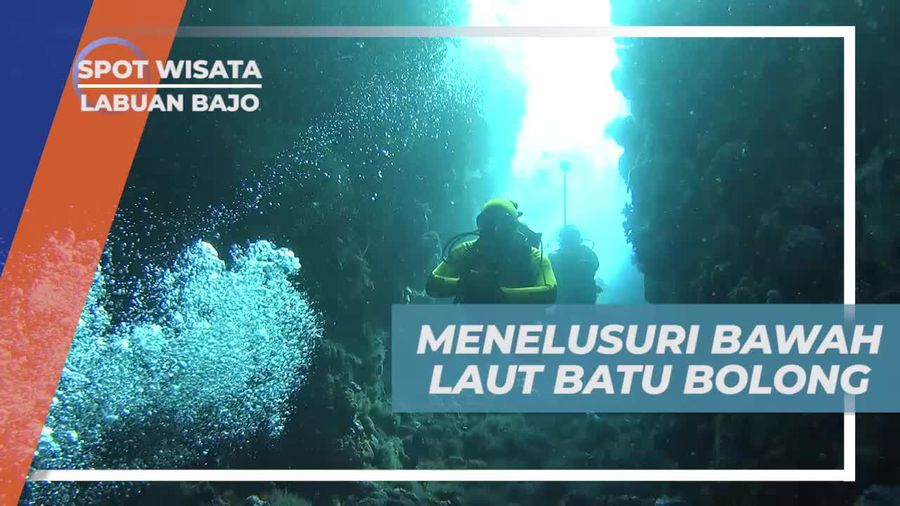 Diving Menelusuri Sudut Keindahan Bawah Laut Batu Bolong Labuan Bajo