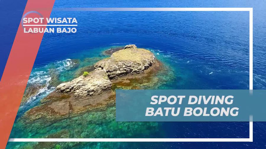 Batu Bolong, Spot Diving Dengan Karang Berbentuk Bongkahan Bulat, Labuan Bajo