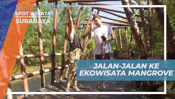 Ekowisata Mangrove, Mengunjungi Spot Wisata Bahari di Kota Pahlawan, Surabaya