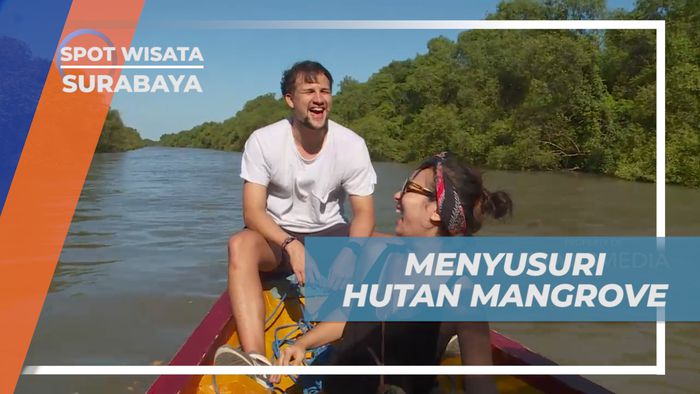 Menyusuri Tiap Sudut Keindahan Hutan Mangrove Naik Perahu, Surabaya