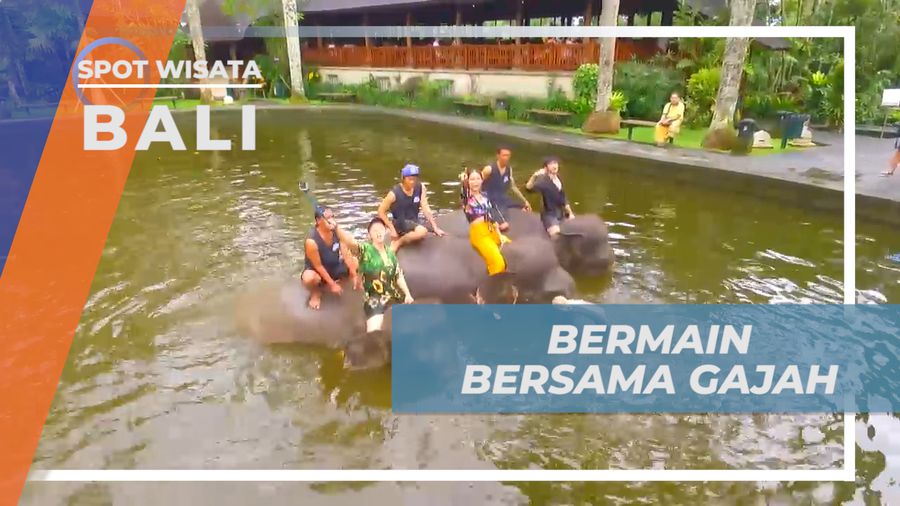 Habiskan Waktu Liburan, Beraktivitas Seru Bermain Air Bareng Gajah, Bali 