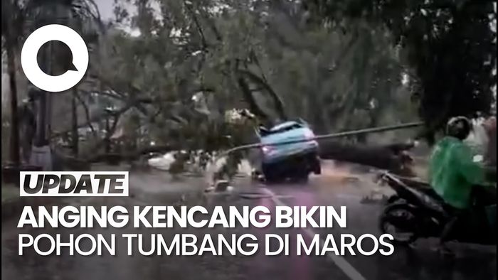 Penampakan Pohon Tumbang Timpa Angkutan Umum di Maros Sulsel
