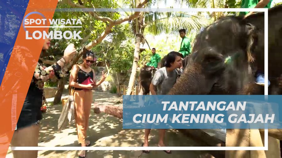 Pengalaman Seru, Berkesempatan Mencium Kening Gajah, Lombok