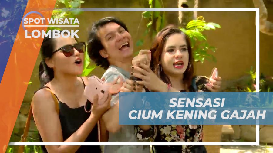Sensasi Mencium Kening Gajah di Taman Satwa, Lombok