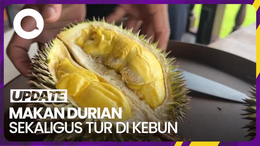 Menikmati Durian Langsung dari Kebun Seluas 14 Hektar di Depok