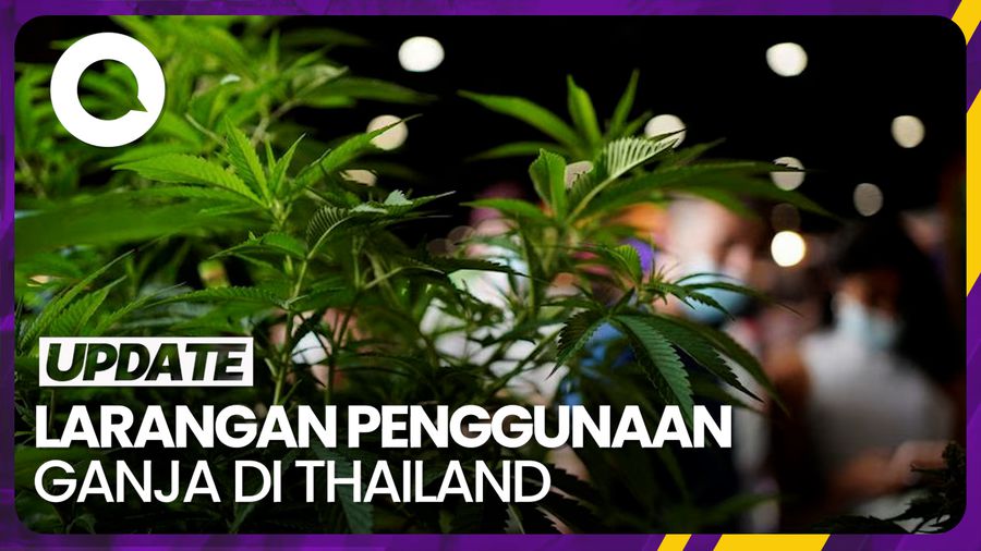 Thailand Kembali Larang Penggunaan Ganja untuk Non Medis
