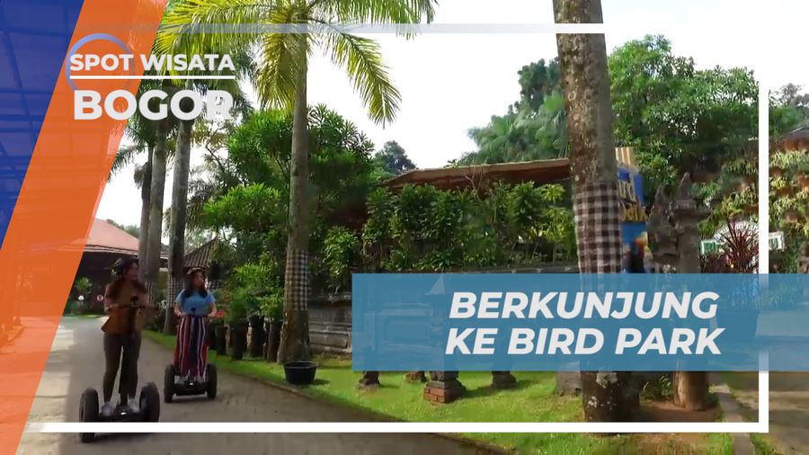 Menjelajahi Tiap Sudut Mini Zoo Menuju Bird Park, Bogor