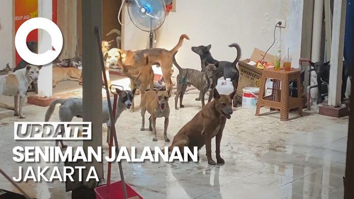 Ada Dugaan Jual Beli Dokumen di Kasus Ratusan Anjing Hendak Dijagal
