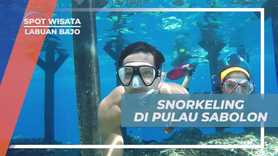 Snorkeling Menikmati Keindahan Bawah Laut Pulau Sabolon Labuan Bajo