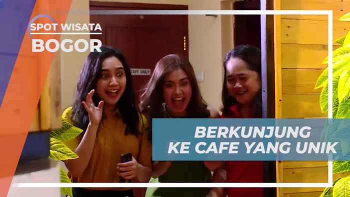 Berkunjung ke Cafe Unik Dengan Banyak Kucing Lucu, Bogor