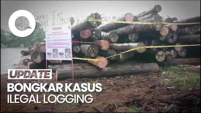 Bareskrim Bongkar Kasus Ilegal Logging di Kalteng, Ribuan Kayu Dijual ke Jatim