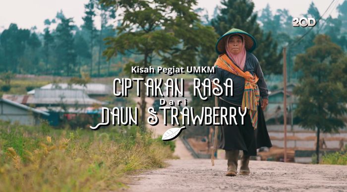 Kisah Pegiat UMKM Ciptakan Rasa dari Daun Strawberry