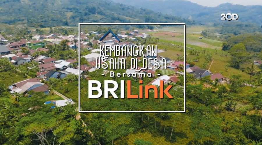 Kembangkan Usaha di Desa Bersama BRILink