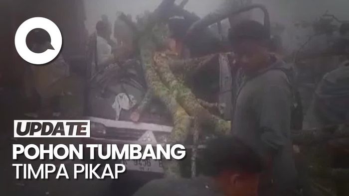 Penampakan Pikap Angkut 14 Orang Tertimpa Pohon Tumbang di Banjarnegara