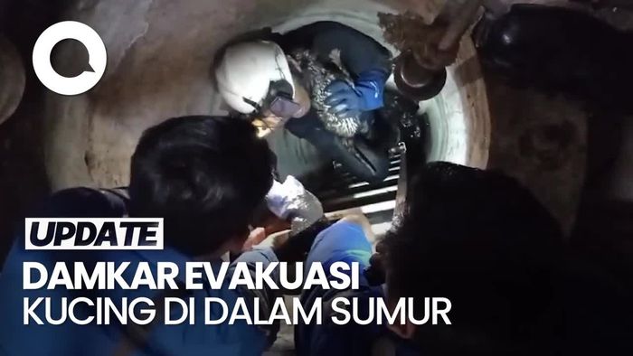Momen Damkar Evakuasi Kucing dari Sumur Kedalaman 10 Meter