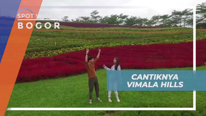 Taman Bunga Vimala Hills, Keindahan Hijau Alam Bogor