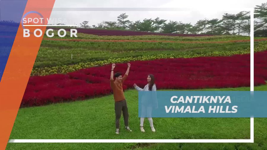 Taman Bunga Vimala Hills, Keindahan Hijau Alam Bogor
