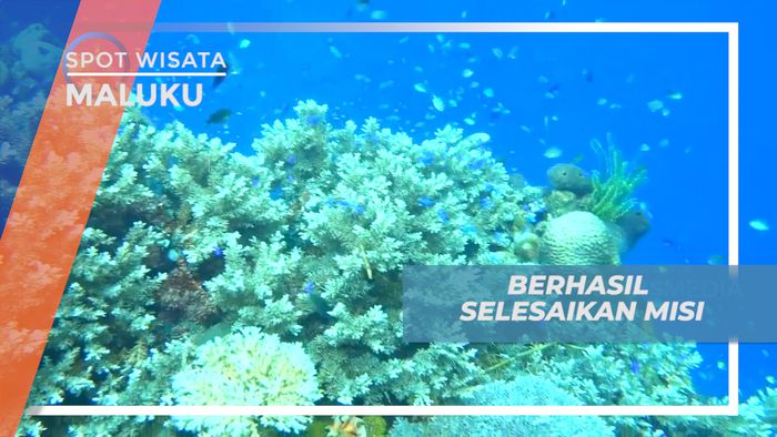 Snorkeling Sambil Berburu Warna-warni Cantik Ikan di Pantai Lubang Buaya, Maluku