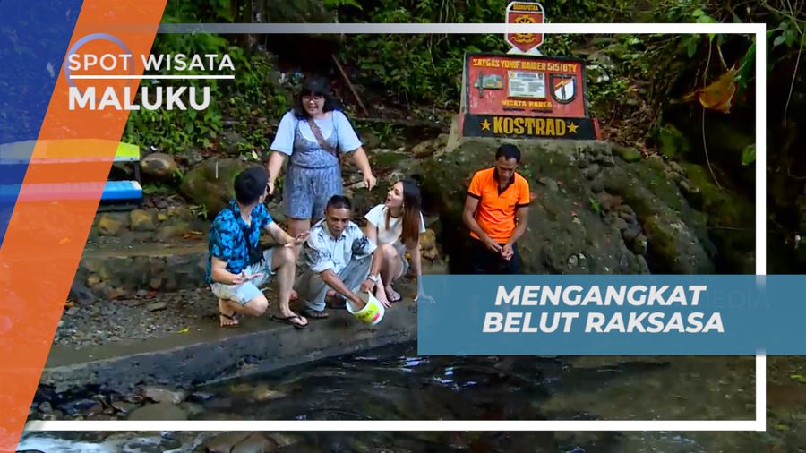 Sensasi Seru Mengangkat Belut Raksasa Penghuni Sungai Larike, Maluku