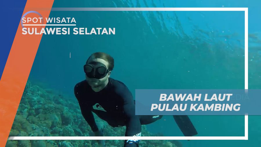 Menjelajahi Surga Bawah Laut Pulau Kambing yang Mempesona, Sulawesi Selatan