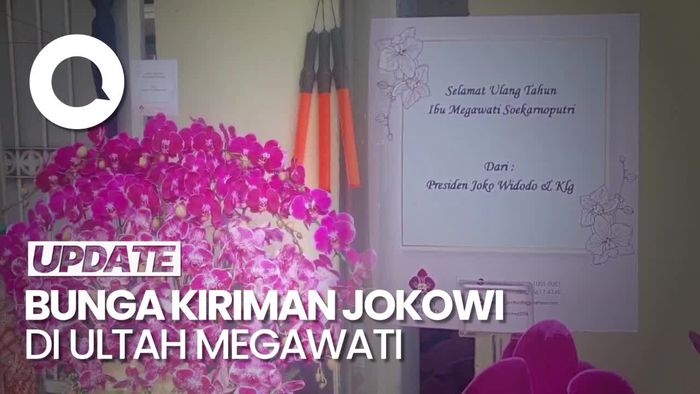 Ini Bunga Kiriman Jokowi untuk Megawati: Anggrek Bulan-Lili