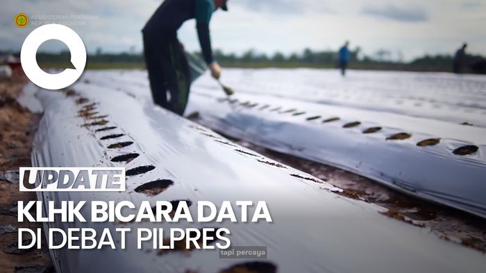 Polemik Food Estate Dinilai Merusak Hutan hingga Buat KLHK Buka Suara