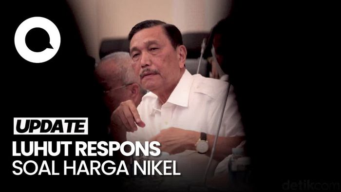 Luhut Ragukan Intelektualitas Tom Lembong yang Sebut Harga Nikel Anjlok