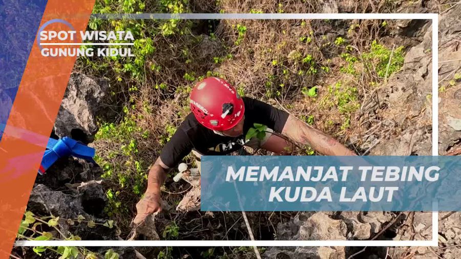 Tebing Kuda Laut, Spot Climbing Favorit di Pantai Siung Gunung Kidul 