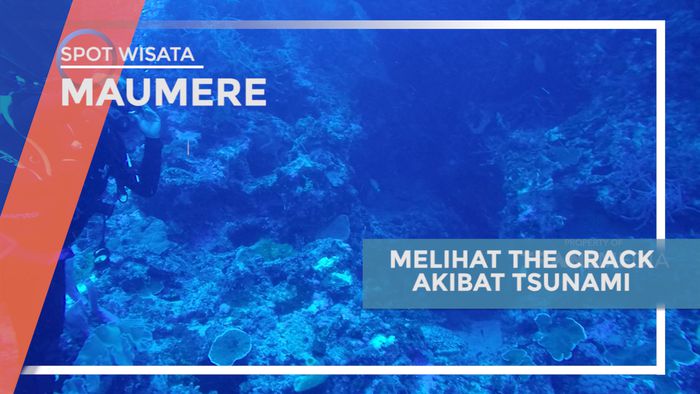 The Crack, Melihat Dari Dekat Retakan Bawah Laut Peninggalan Tsunami, Maumere