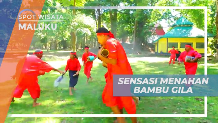 Sensasi Menahan Gerak Liar si Bambu Gila yang Menguras Tenaga, Maluku