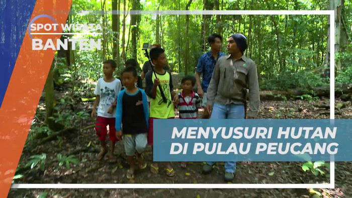 Menyusuri Hutan Pulau Peucang, Pencarian Badak di Banten