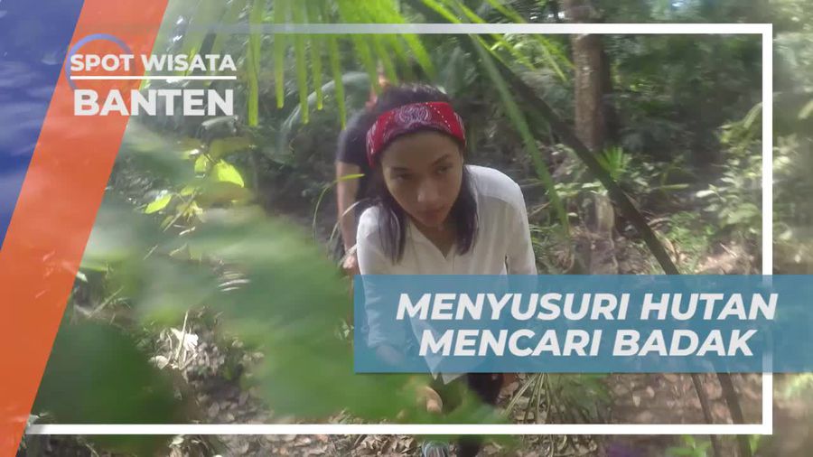 Membelah Hutan Menyusuri Setiap Sudutnya Untuk Mencari Badak, Banten