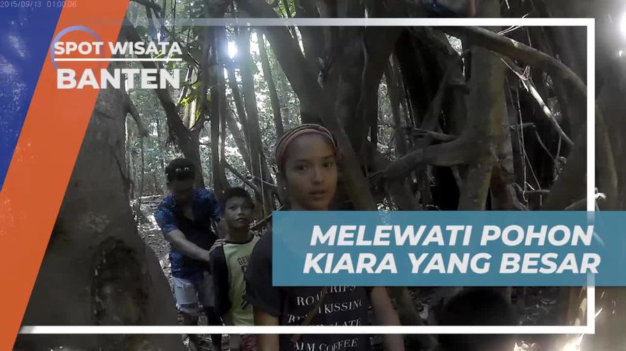 Melewati Pohon Kiara, Tanaman Terbesar di Pulau Peucang Banten