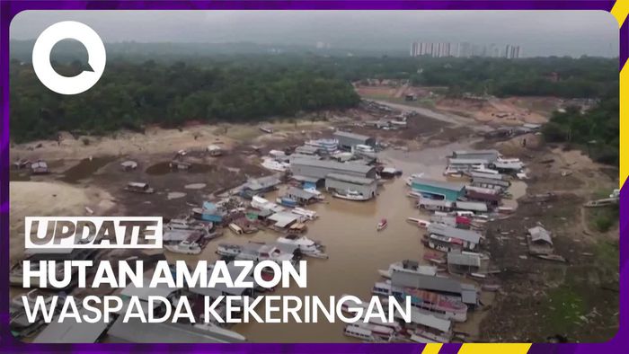 Hutan Amazon Dilanda Kekeringan Akibat Perubahan Iklim