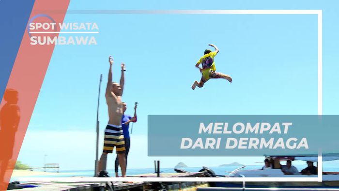 Momen Seru Melompat Dari Dermaga Pulau Paserang Sumbawa