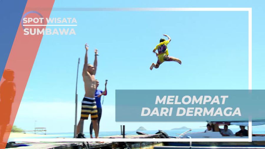 Momen Seru Melompat Dari Dermaga Pulau Paserang Sumbawa