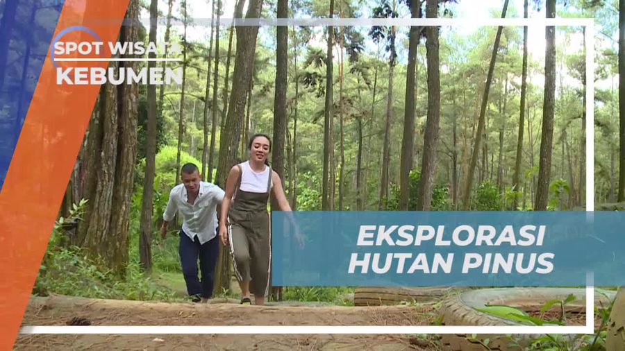 Eksplorasi Hutan Pinus Brujul Adventure Park Kebumen